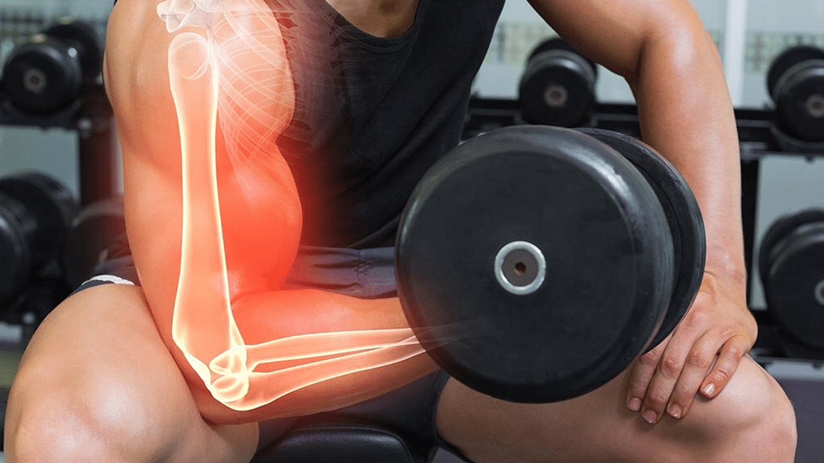 Best Supplements for Bone Health in Adults: What Really Matters?