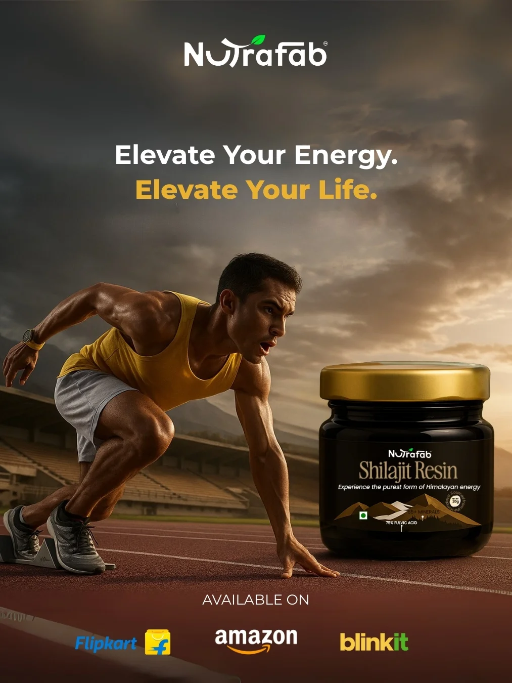 Nutrafab Pure Himalayan Shilajit – Power, Performance & Vitality