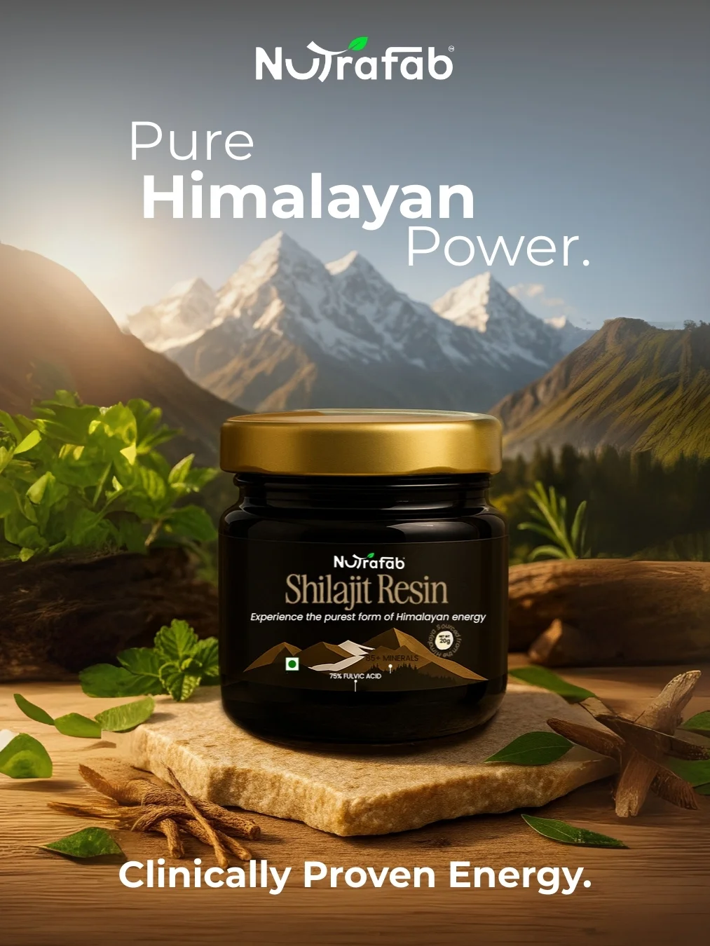 Nutrafab Pure Himalayan Shilajit – Power, Performance & Vitality